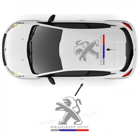 Peugeot Sport de toit version 2016