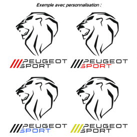 Peugeot Sport Lion de toit 80cm