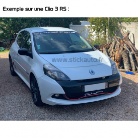 Renault Sticker CUP de lame