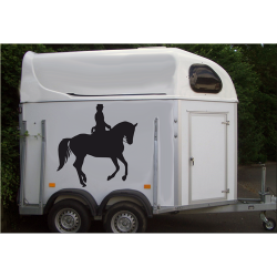 Cheval 7