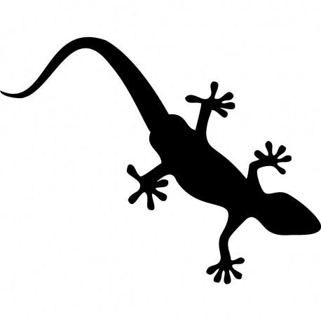 Salamandre Gecko