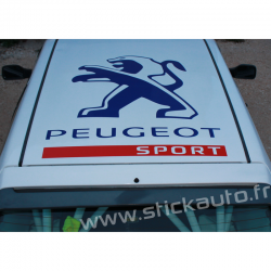 Peugeot Sport de Toit 2012 60x60 cms