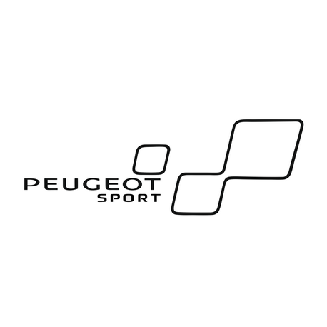 Stripping Peugeot Sport Gauche