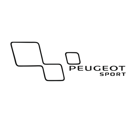 Stripping Peugeot Sport Droit