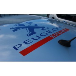 Peugeot Sport de Toit 2012 75x75 cms
