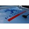 Peugeot Sport de Toit 2012 75x75 cms Peugeot Sport de Toit 2012 75x75 cms