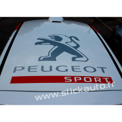 Peugeot Sport de Toit 2012 75x75 cms Gris