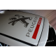 Peugeot Sport de Toit 2012 75x75 cms Gris