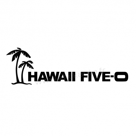Hawaii Five-0 modèle3
