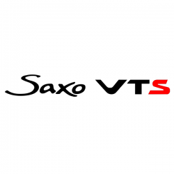 Citroën Saxo VTS bi-couleur