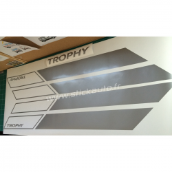 Kit Mégane RS Trophy 2014