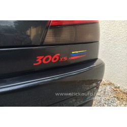 Kit Griffe PTS light type Rallye