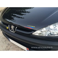Kit Griffe PTS light type Rallye