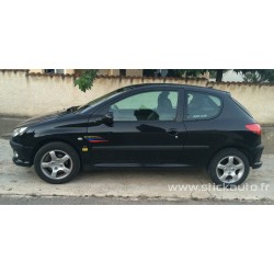 Kit Griffe PTS light type Rallye