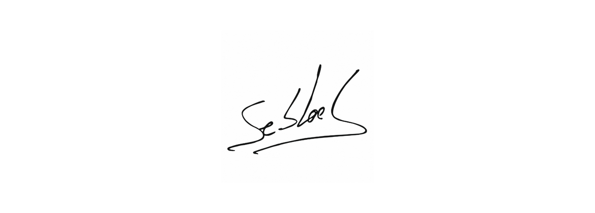 Stickers Supporters Loeb, Ogier, Neuville, etc...